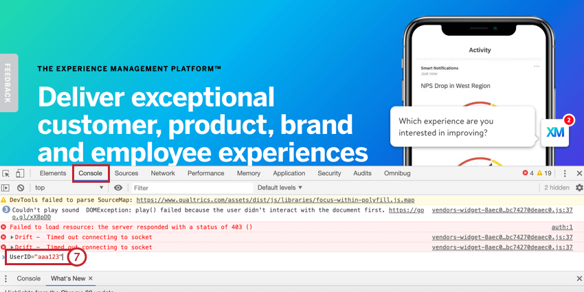 inserendo lID utente nella scheda della console del sito web in cui si trova lintercetta