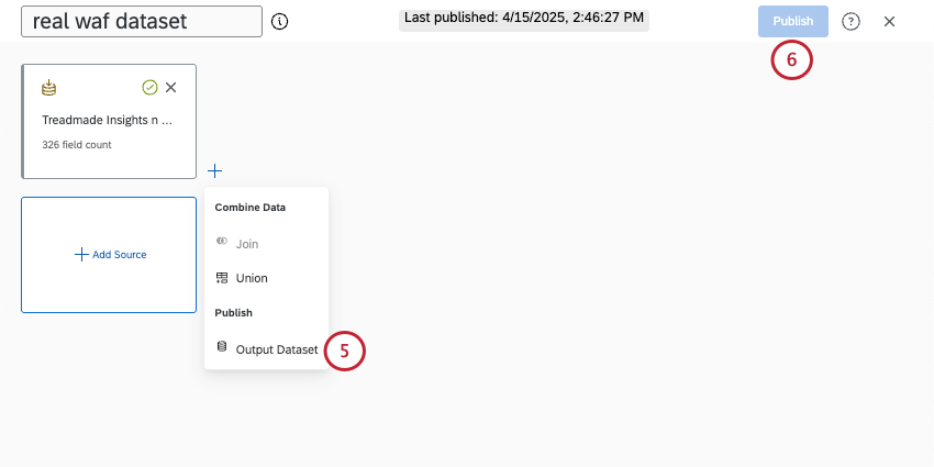 set di dati di output e opzioni di pubblicazione evidenziate nel modellatore