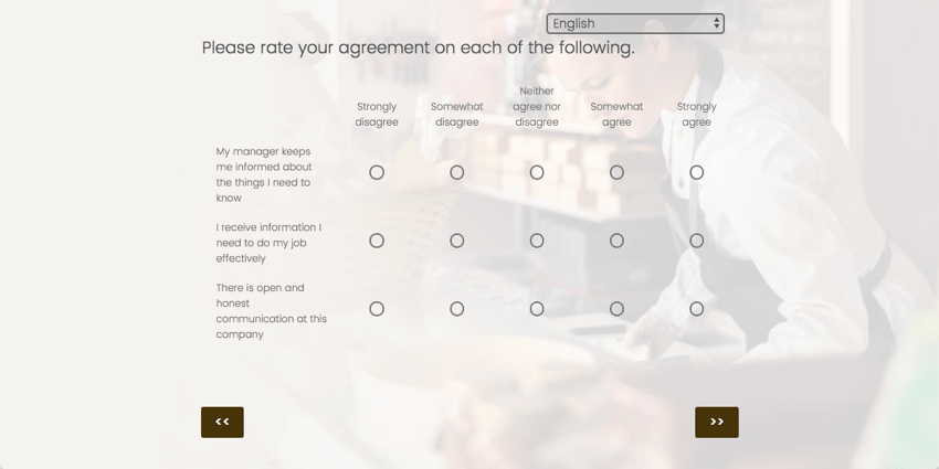 A matrix table asking respondents to rate their agreement. Along the left are statements, and along the top are scale points from strongly disagree to agree, and on each row you have to fill in a bubble for your agreement
