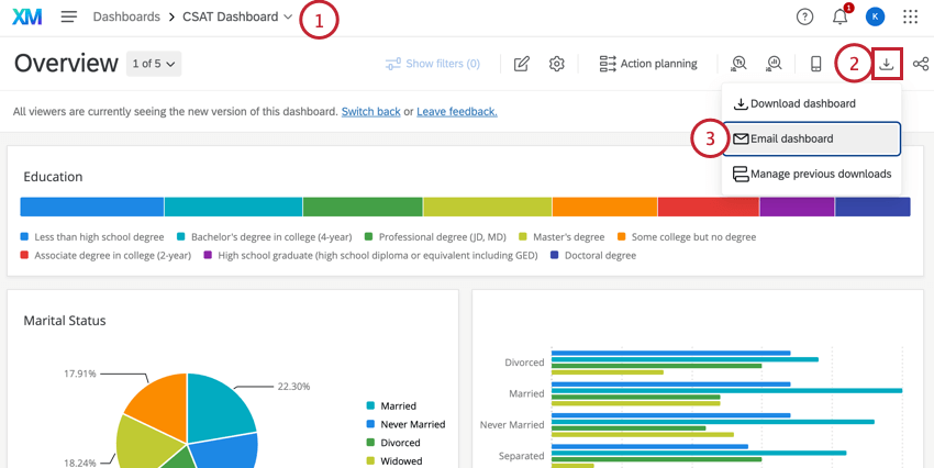 facendo clic sul pulsante di download in una dashboard e poi sulla dashboard e-mail