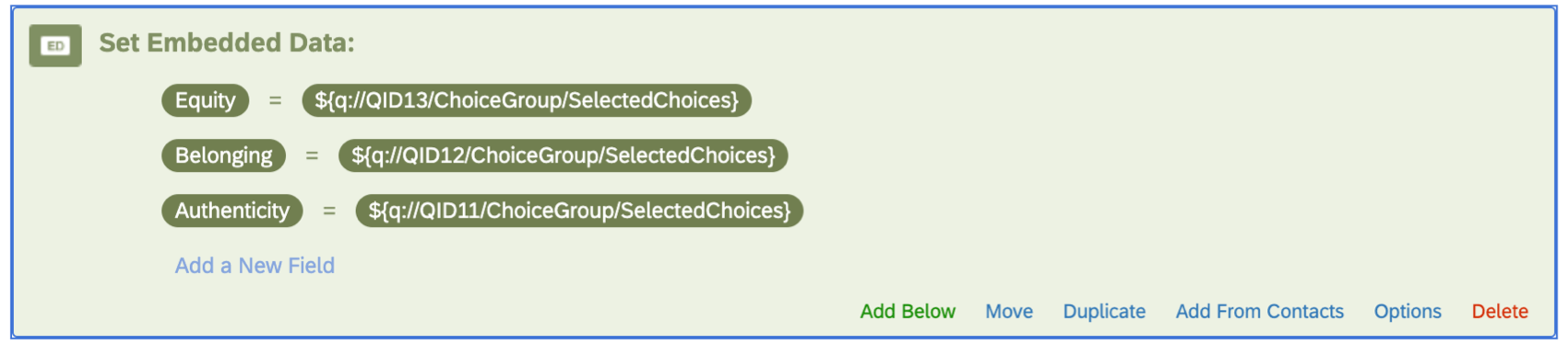 Embedded data elements for fields Authenticity, Belonging, and Equity, each set equal to different piped text