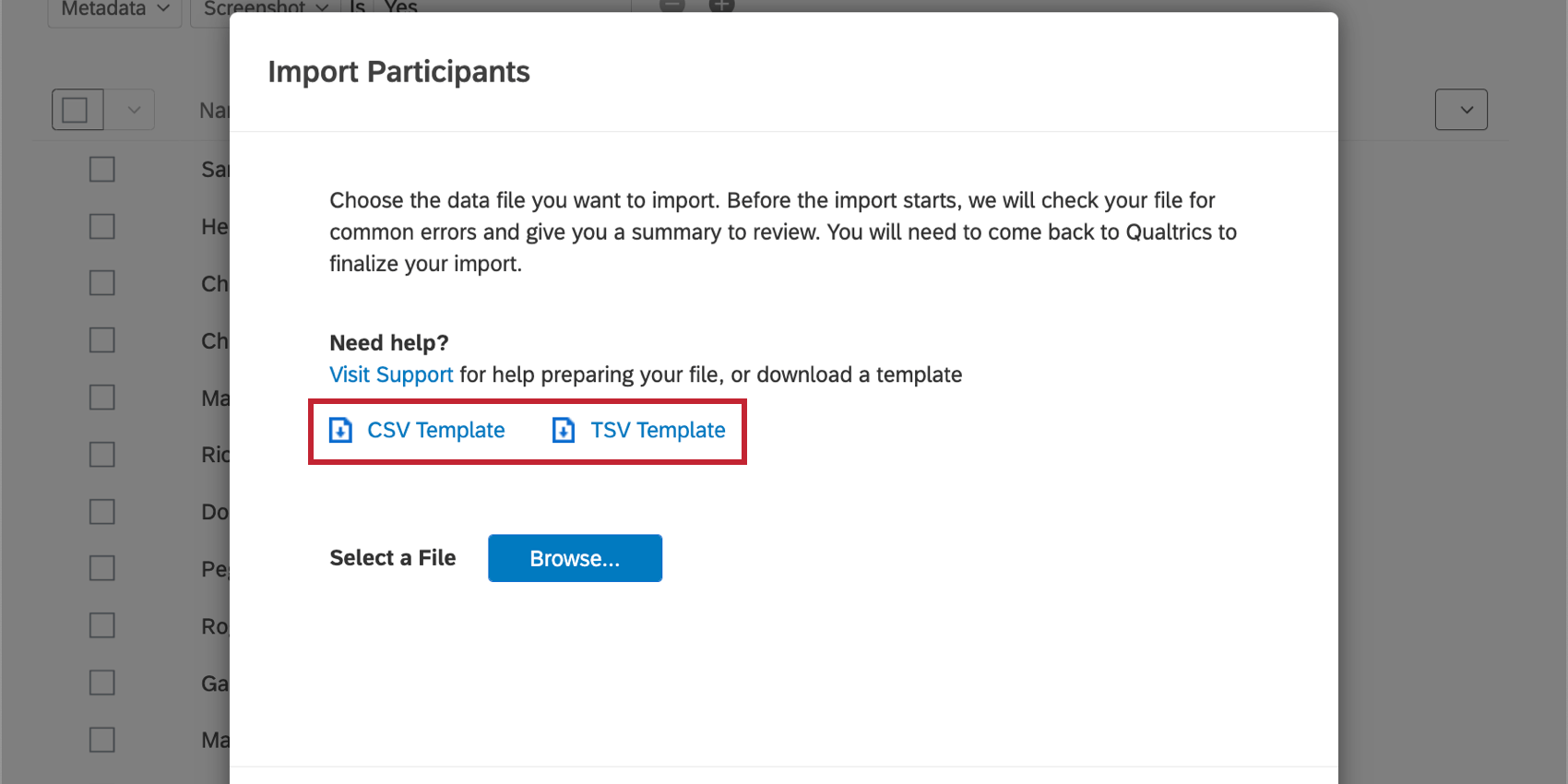 Modelli CSV e TSV nella finestra di importazione