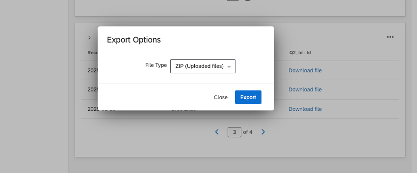 小さな新しいウィンドウが開き、ZIPファイルに設定できます。