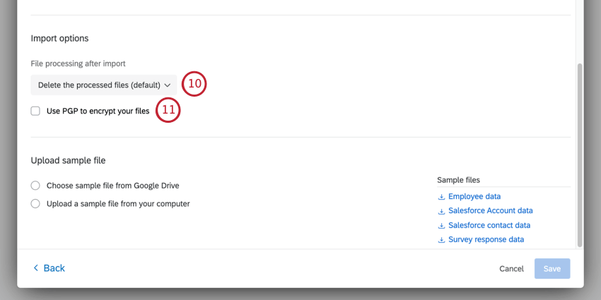 die Dropdown-Liste mit den Importoptionen und ein Ankreuzfeld für PGP darunter