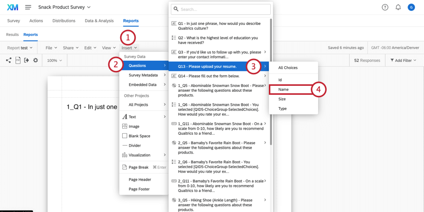 Displaying a file in a report