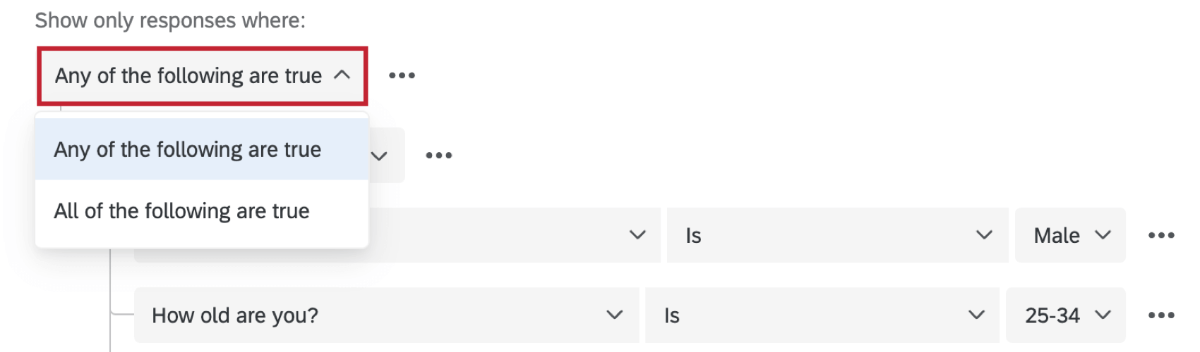 eine der folgenden Bedingungen in der Filter-Dropdown-Liste wahr ist