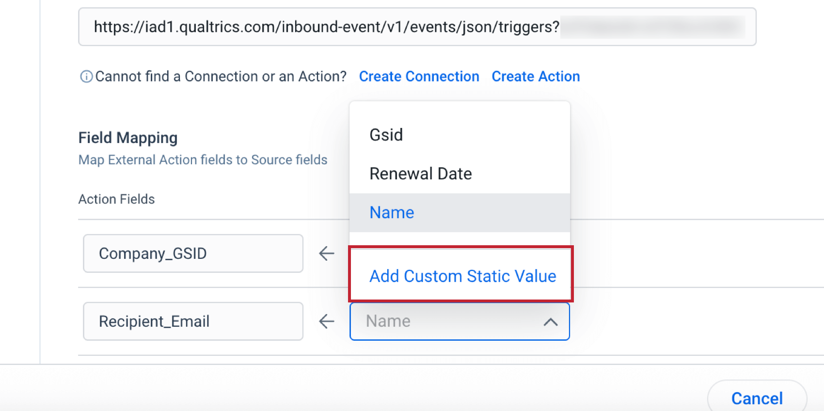 mapping a field as a static value