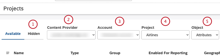 Selezionare la scheda Nascosto. Selezionare fornitore di contenuti, account, progetto, attributi del progetto, modelli di classificazione e rubriche.