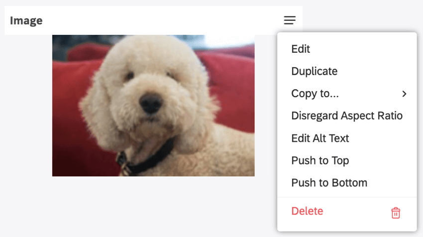 menu a 3 righe in alto a destra del widget fotografico