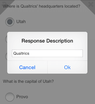 Response Description pop-up text box