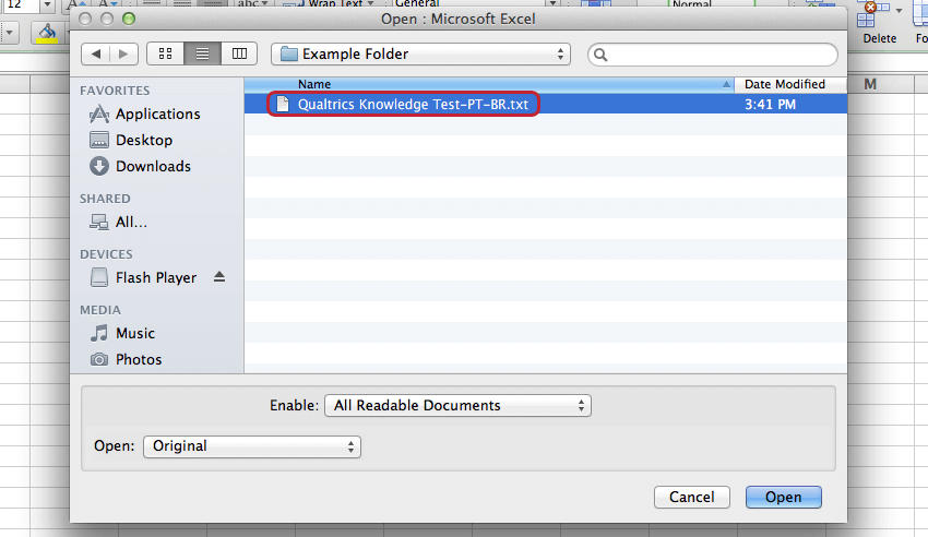 Abrir un archivo de Excel de txt