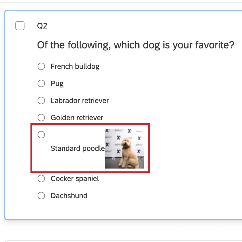 画像の左側にテキストが表示されます。