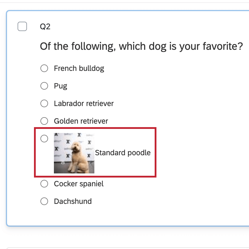 画像の右側にテキストが表示される