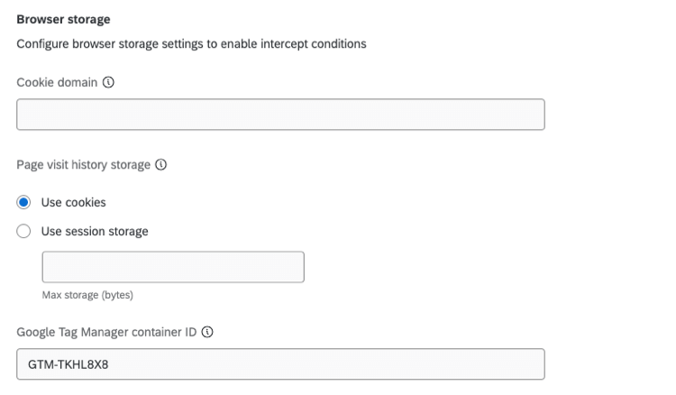 available browser storage settings