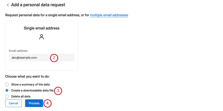 Large box where you can type one email address. Below that, multiple choice, first option is to show a summary. Then two buttons. Blue Process button is the second