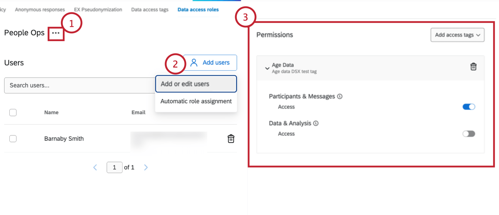managing data access roles