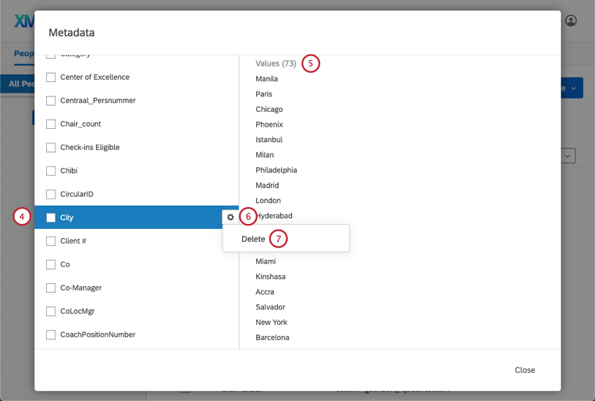Gestire i metadati selezionando il campo Metadata a sinistra, osservando il numero di valori assegnati in alto e come eliminare il campo metadata