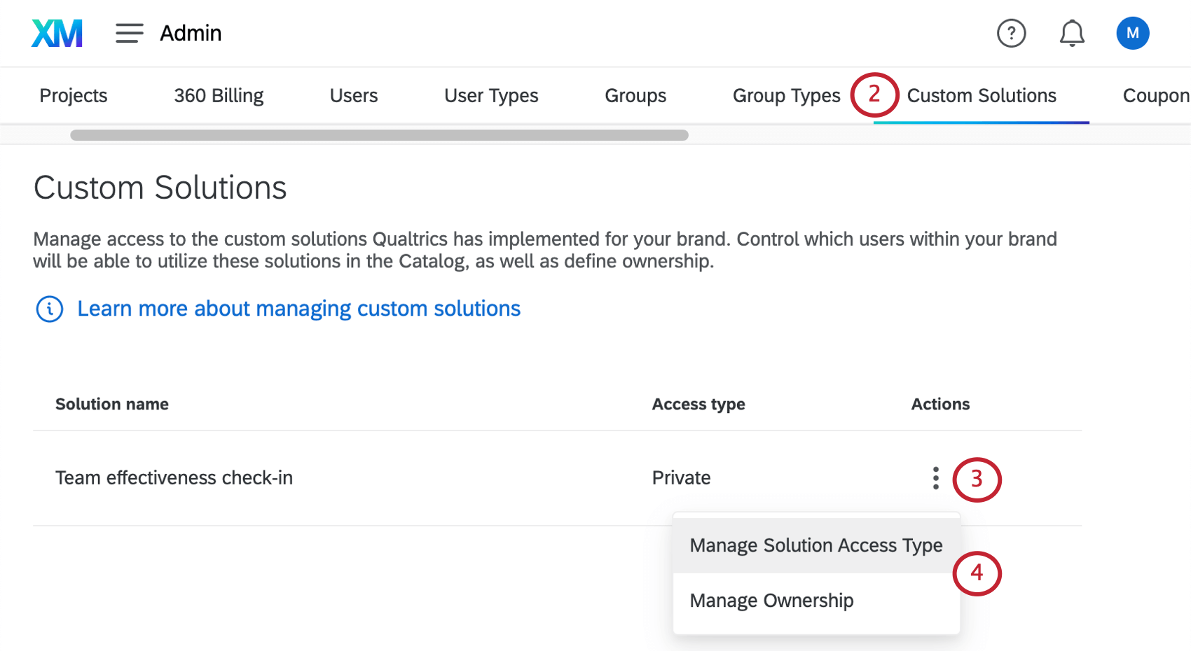 Custom solutions tab of Admin, which one solution inside named "team effectiveness check-in"