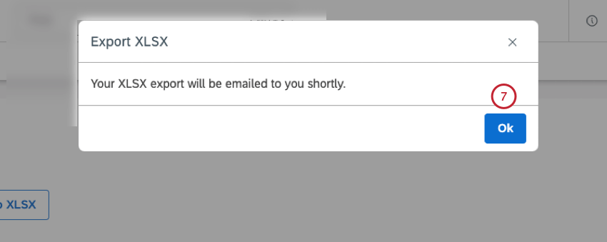 Click Ok in the Export XLSX window.