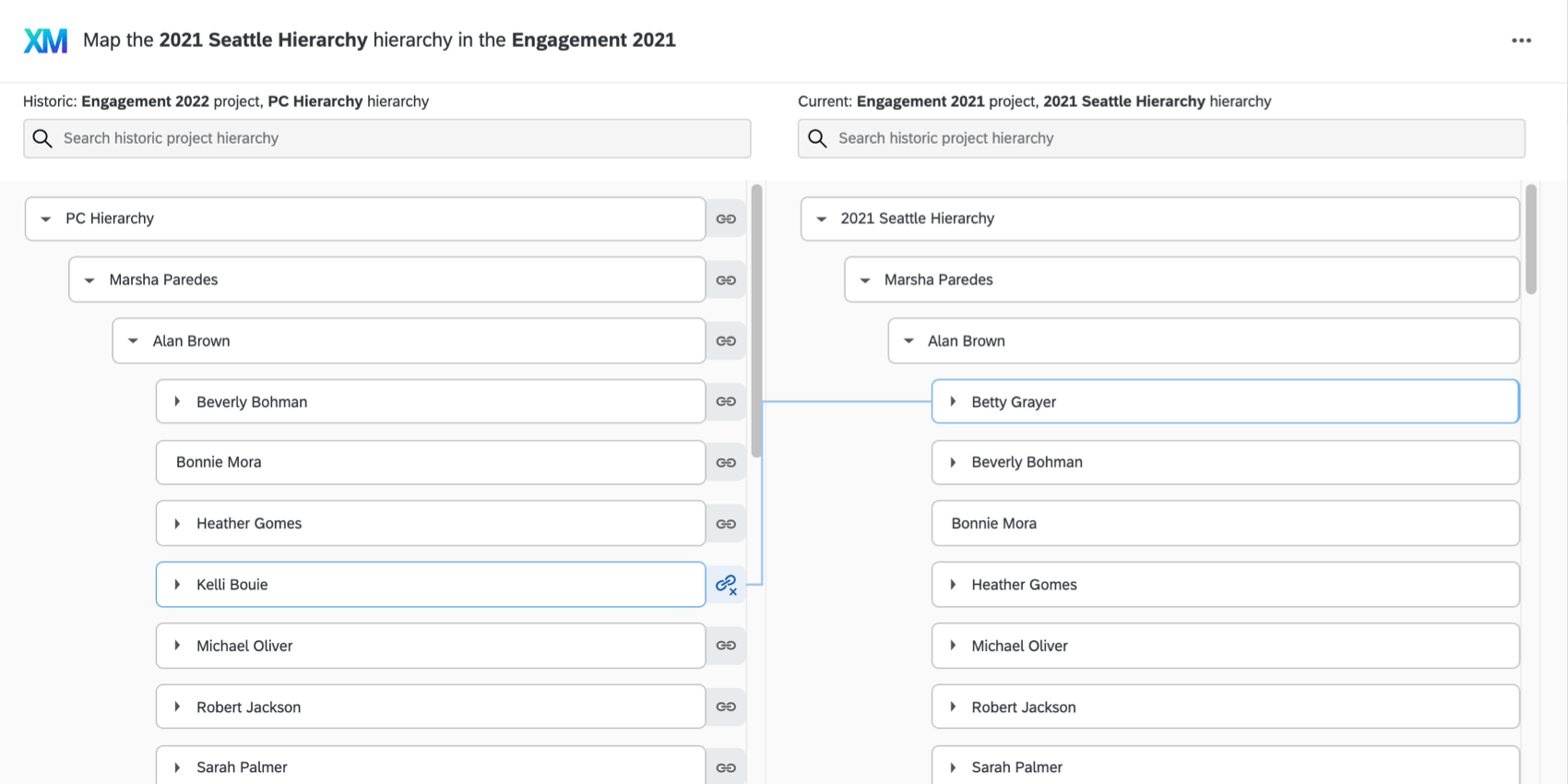 the automatically mapped hierarchies