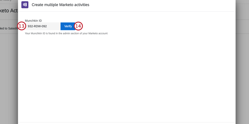 entering a munchkin id and clicking verify