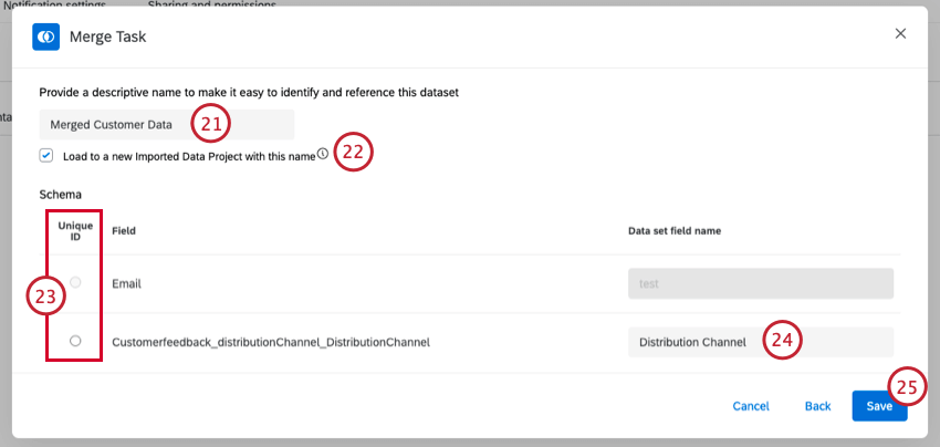 naming your merged dataset and configuring your fields