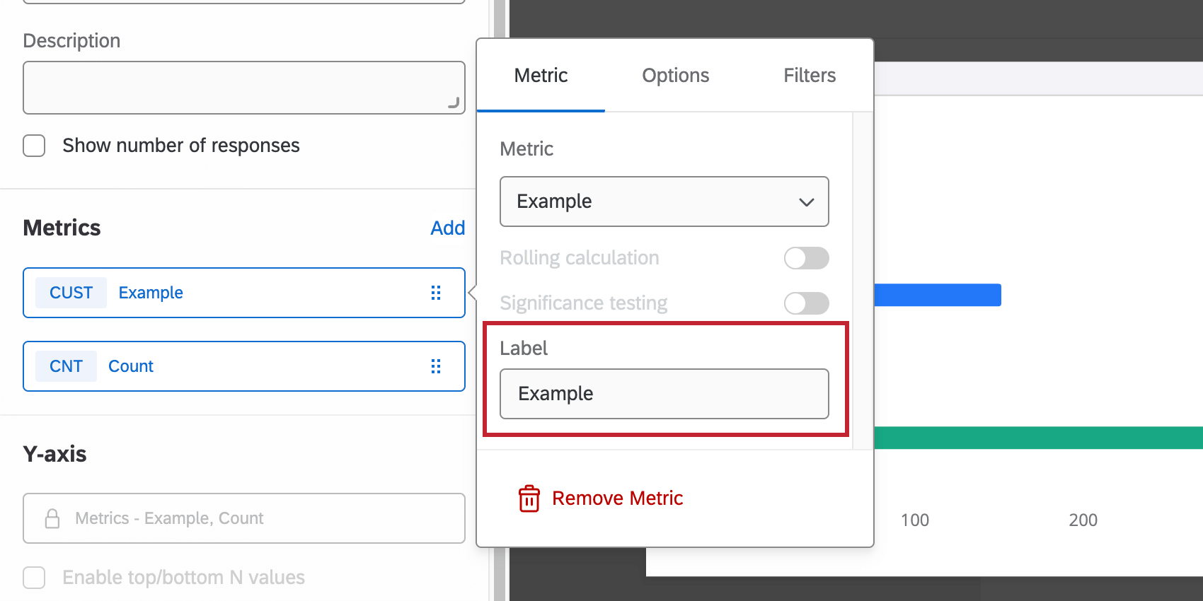 Label text box in Metric tab
