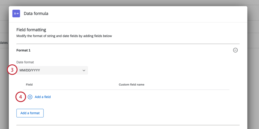 choosing the desired date format and then clicking add a field