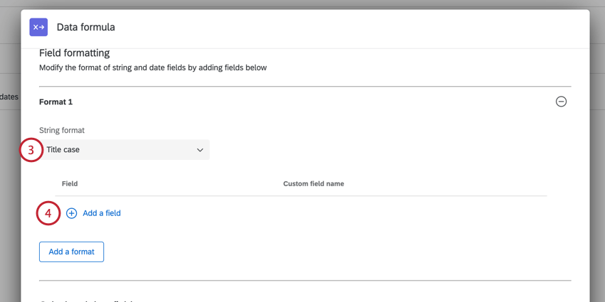 choosing the format and adding a field