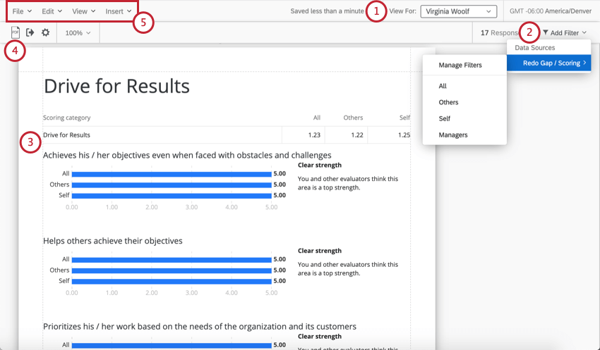 Toolbar along top; contains, left, the PDF export button, and right, the subject selector and the filter dropdown. Below that, the actual report populates, where you can add visualizations