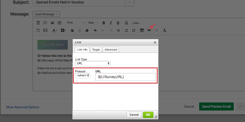 The button image added to the email is highlighted. The hyperlink button is then selected and the protocol is set to other, while the discussed piped text is pasted into the URL field