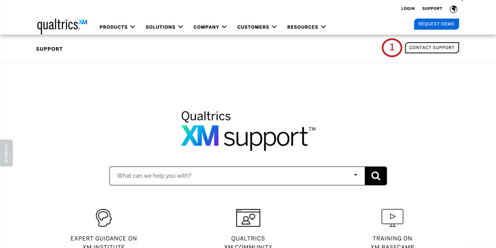 Pulsante di contatto sul sito di supporto