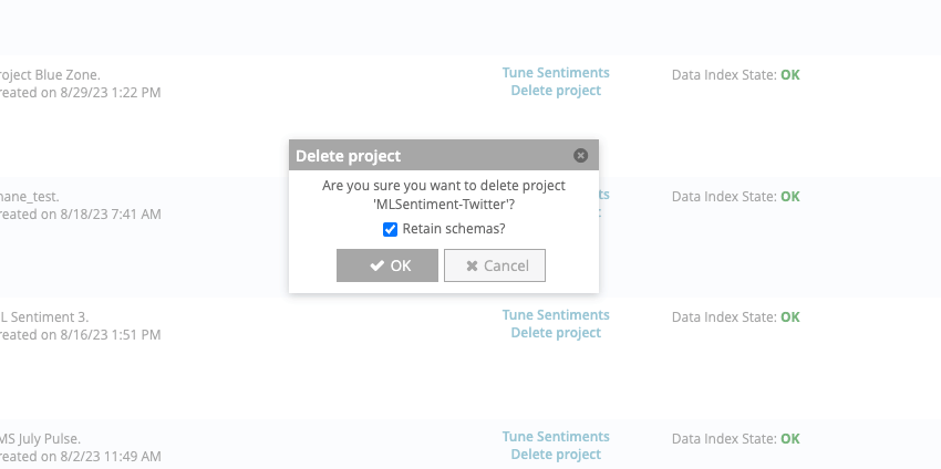 the popup for confirming a project deletion