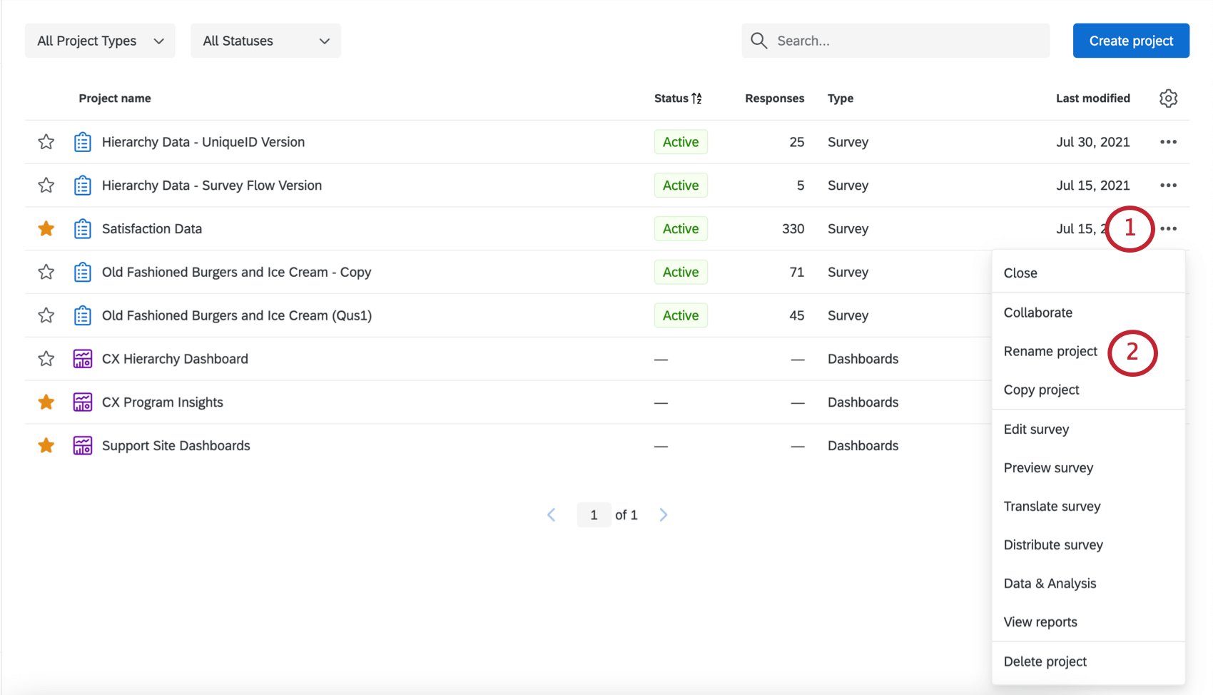 Option Projekt umbenennen aus Dropdown-Pfeil