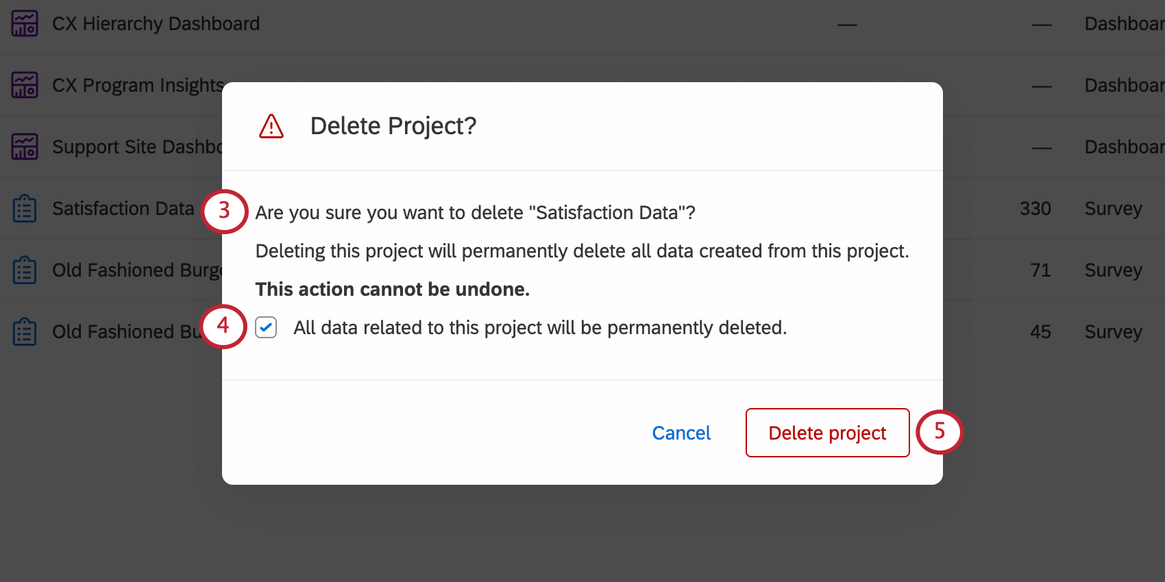 Delete Project window