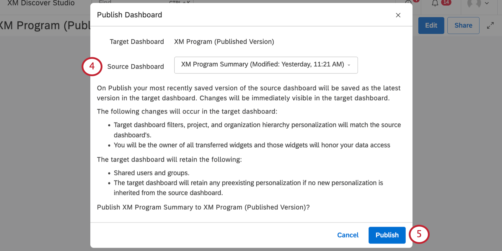 new window where you se dashboard publishing source