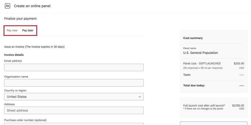 pay now and pay later tabs at the top of the payment page are highlighted