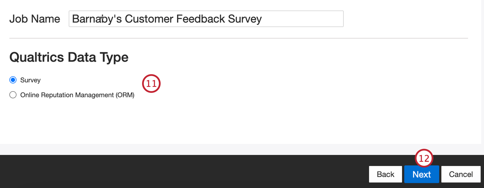 choosing the type of data to import