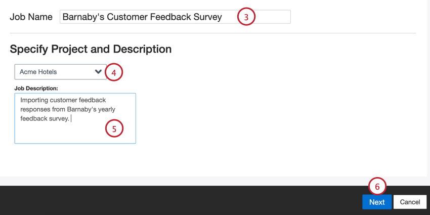 giving the job a name, choosing a project, and entering a description