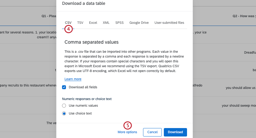 Choosing the file type in the export window; CSV is selected