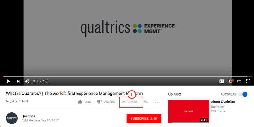Share button beneath video
