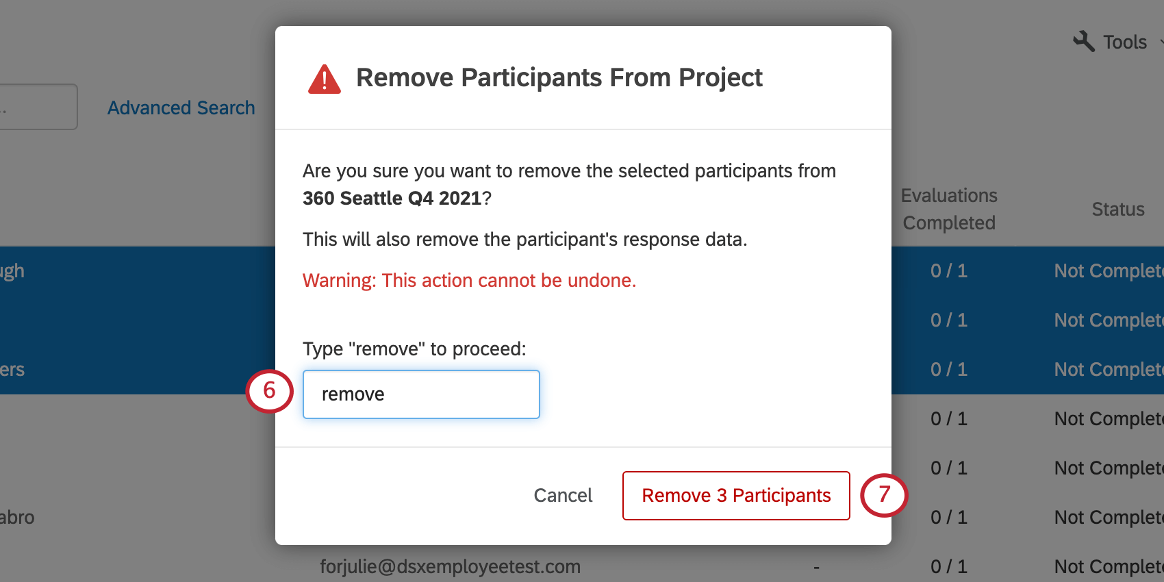 Window remove participants from project opens over the participants tab and has a field for typing "remove"