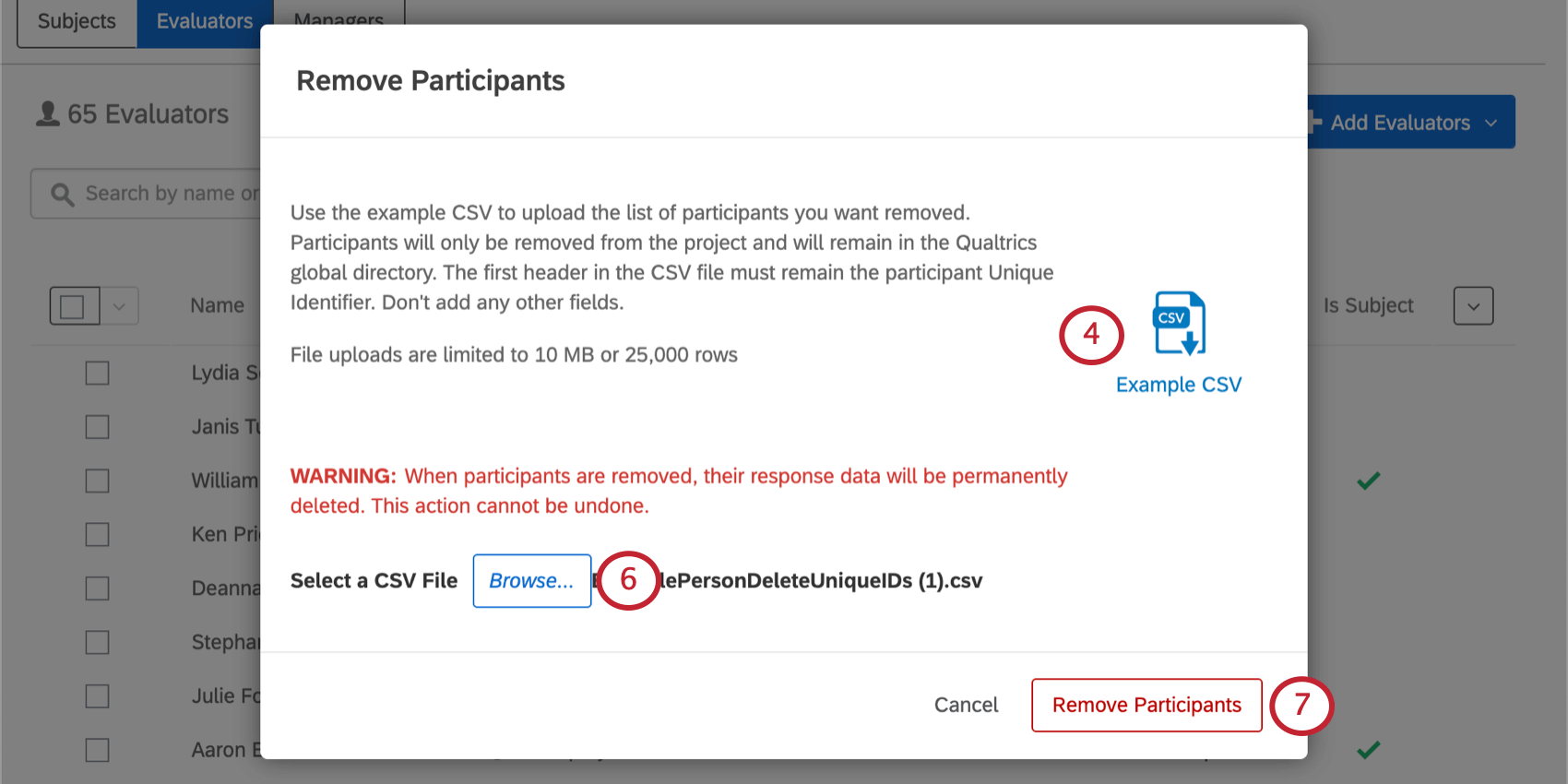 Remove Participants window with browse to left, example CSV to right, remove participants in bottom-right
