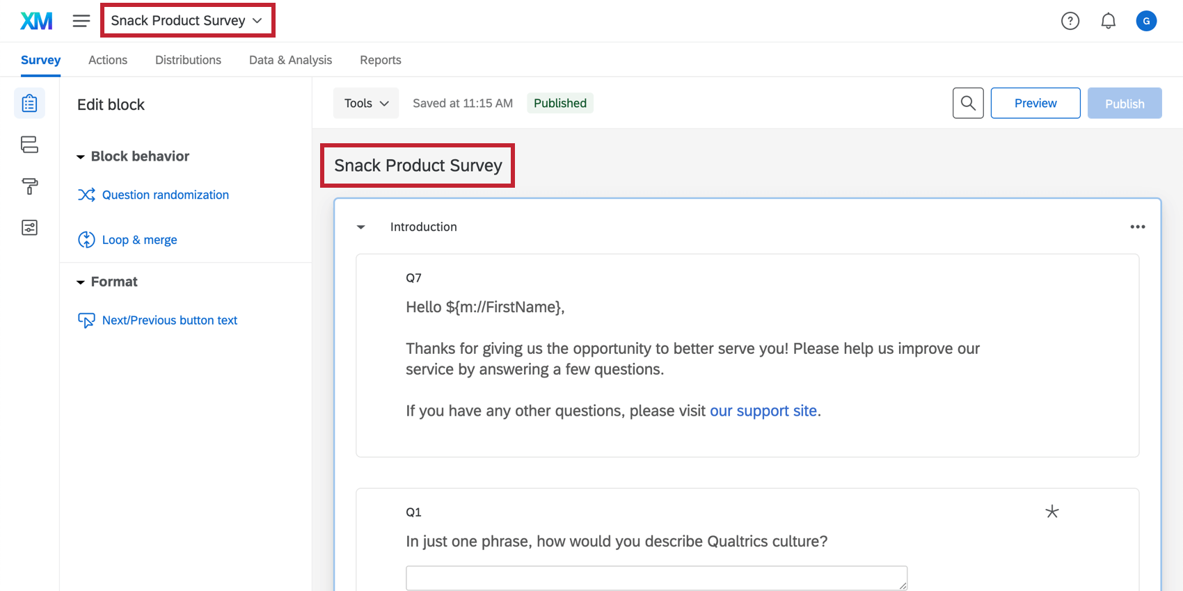 Project name shown at the top of the page and at the top of the survey editor
