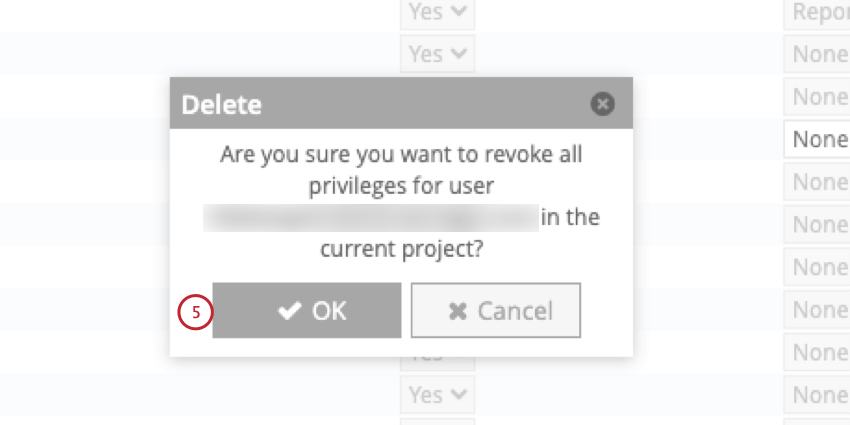 clicking OK in the popup