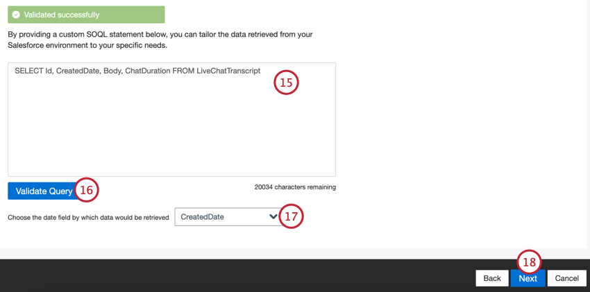 entering a SOQL query