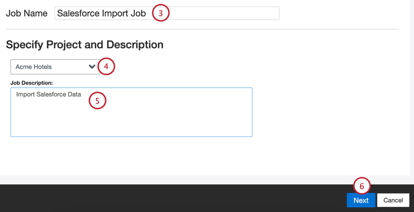 naming the job, choosing a project, and entering a description