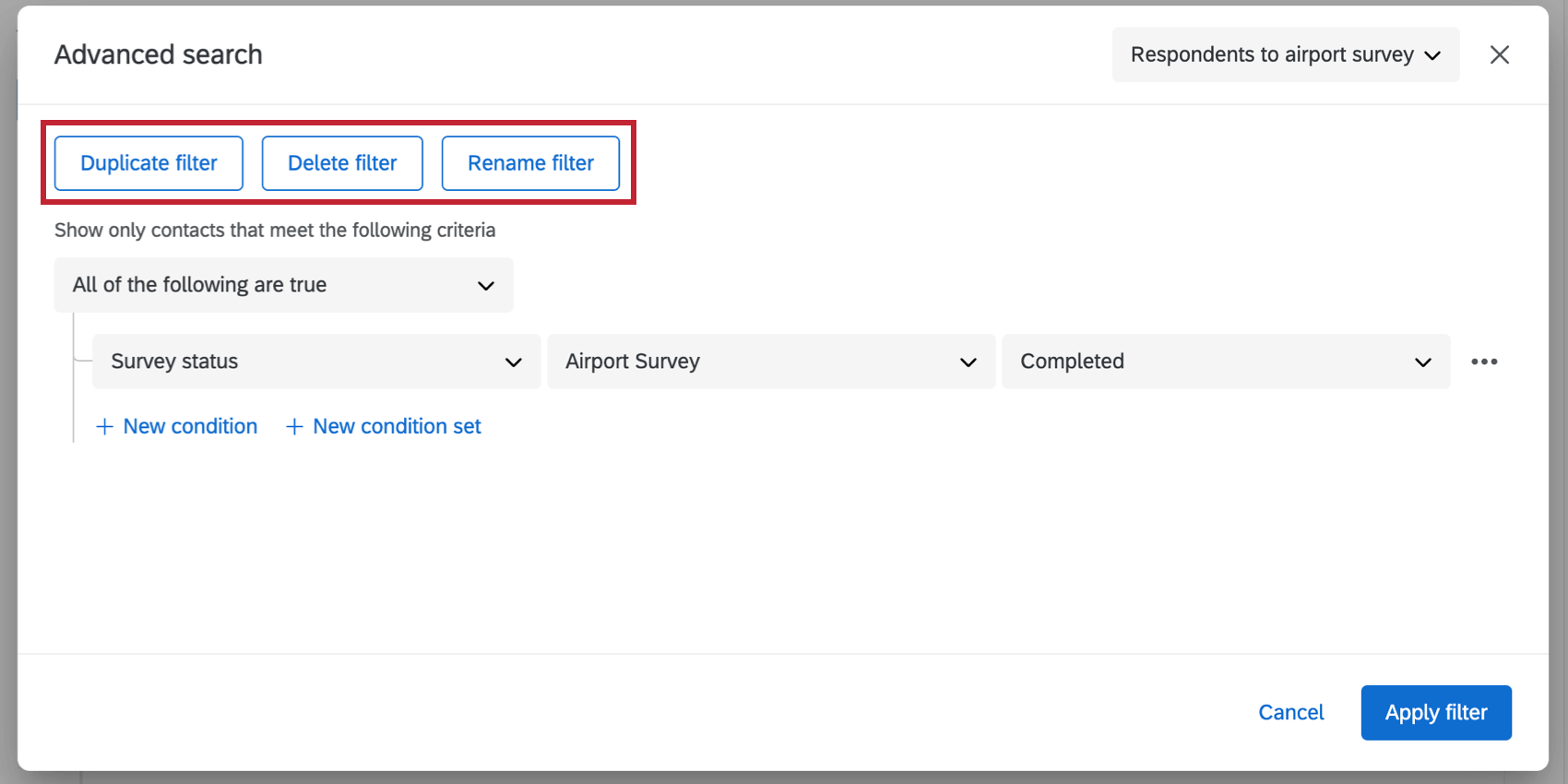 Advanced search window is open with a saved filter applied. In the upper-left, we see buttons that say: Duplicate filter, delete filter, and rename filter