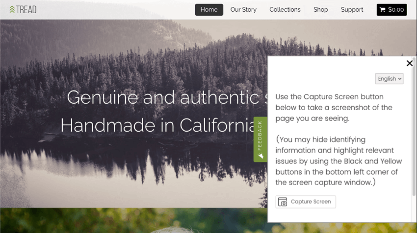 uma guia de feedback é aberta em um site, mostrando uma pesquisa que pede ao visitante para fazer uma captura de tela, com um botão para capturar a captura de tela