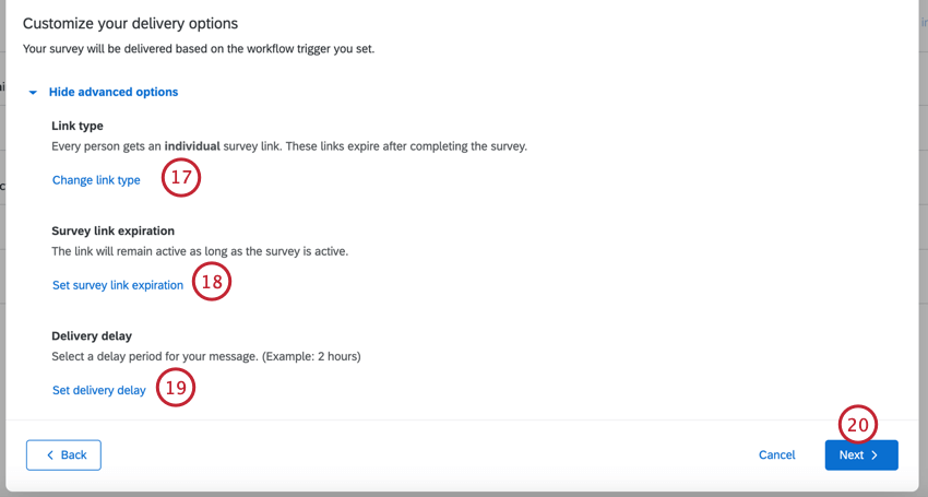 customizing the link type, expiration, and delivery delay